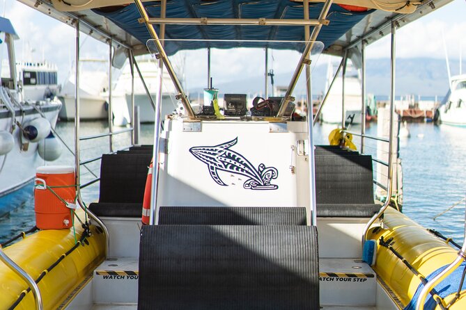 2.5 Hour Whale Escape Tour - The price: what $177 buys you
