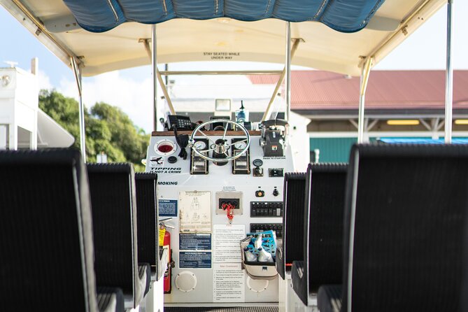 2.5 Hour Whale Escape Tour - The booking details that deserve a second look