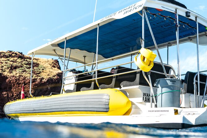 2.5 Hour Whale Escape Tour - What the whale search feels like