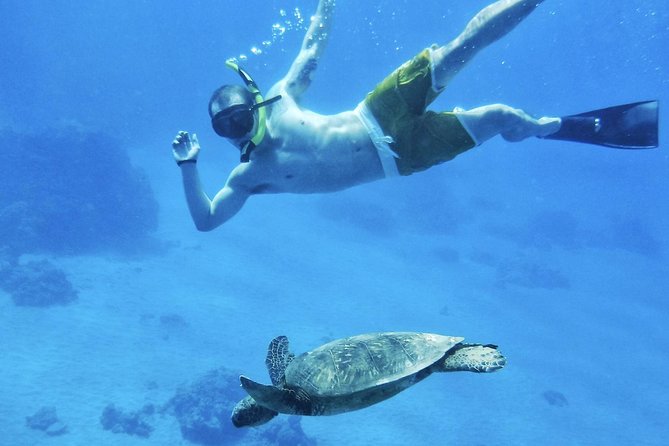 2.5 Hour Xpress Snorkel from Ka’anapali Beach - Mala Wharf makes a smart short snorkel stop