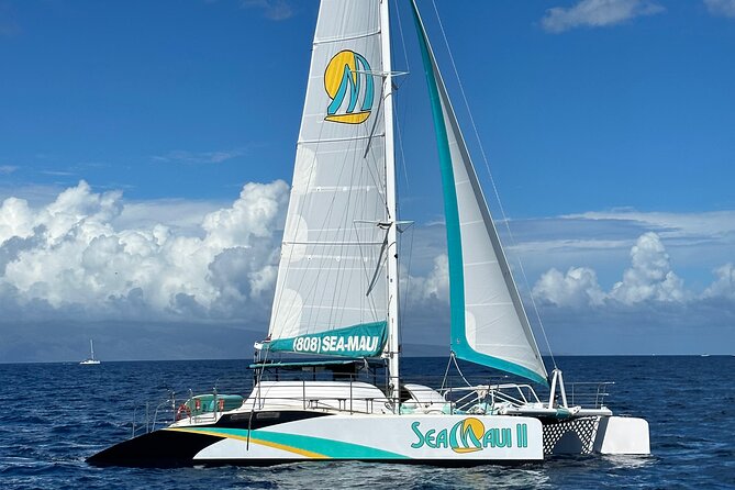 2.5 Hour Xpress Snorkel from Ka’anapali Beach - What you can see around the old pier