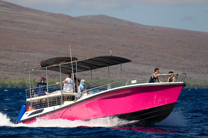 2 Hour Afternoon Lahaina Whale Watch - Who should book this Lahaina whale watch?