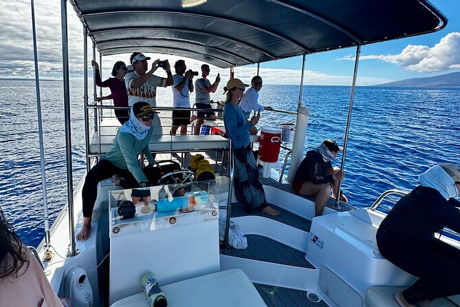 2 Hour Afternoon Lahaina Whale Watch - What you may see: mothers, calves, breaches, and whale song