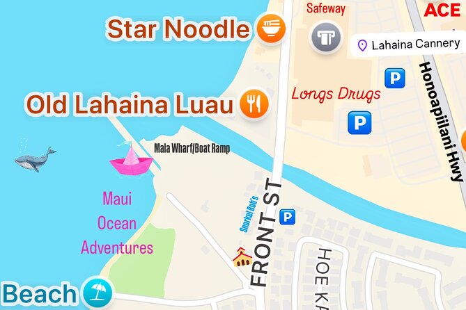 2 Hour Prime Time Maui Whale Watching - Searching Maui’s whale sanctuary waters