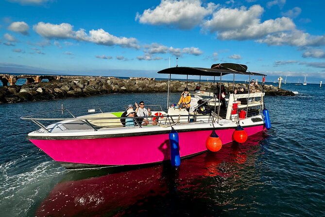 2 Hour Prime Time Maui Whale Watching - Why the 8:50 am time is worth choosing