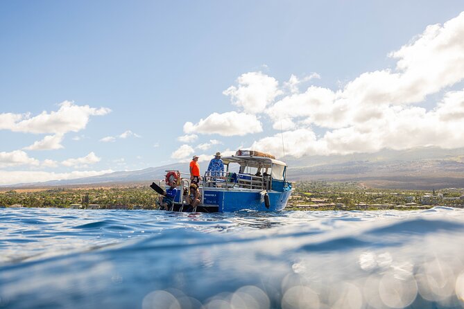 2-Tank Dive Featuring the Molokini Crater - Two tanks, two underwater visits