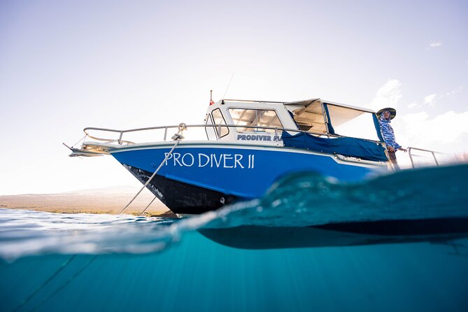 2-Tank Dive Featuring the Molokini Crater - A guide who stays with the small group