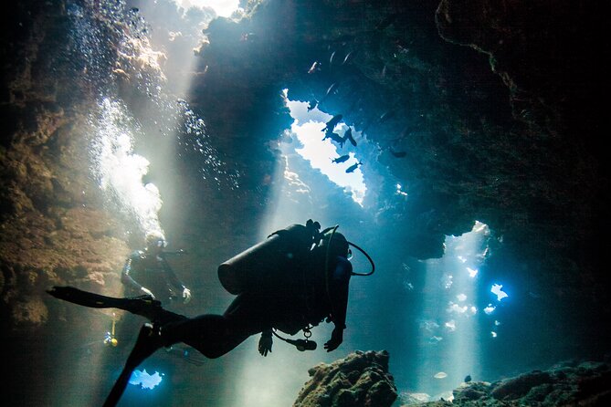 2 Tank Lanai Cathedral Scuba Dive Via Boat for Certified Divers - Key points to know before you book