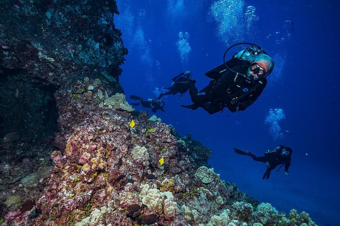 2 Tank Lanai Cathedral Scuba Dive Via Boat for Certified Divers - The surface interval and second session
