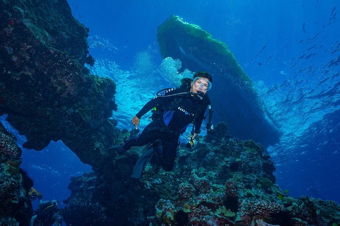 2 Tank Lanai Cathedral Scuba Dive Via Boat for Certified Divers - Boat comfort, conditions, and safety