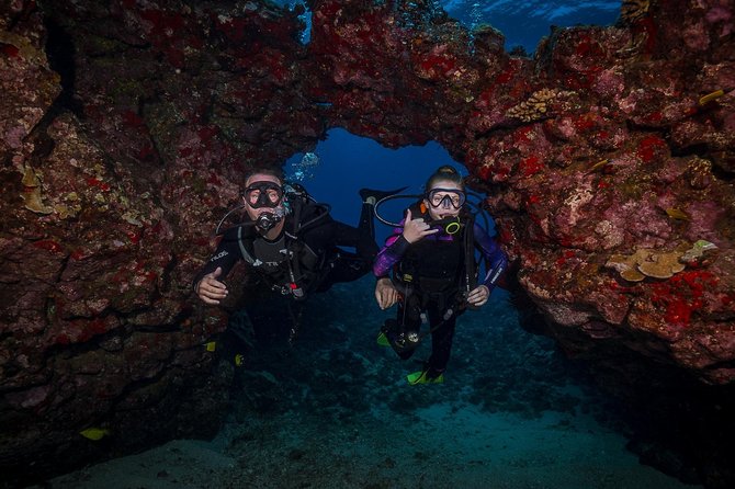 2 Tank Lanai Cathedral Scuba Dive Via Boat for Certified Divers - Equipment and group size