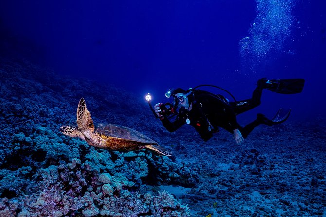 2 Tank Lanai Cathedral Scuba Dive Via Boat for Certified Divers - Is the $306.89 price good value?