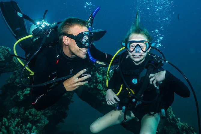 2-Tank Maui Turtle Scuba Dive or Snorkel Boat Tour - Key points to know before booking