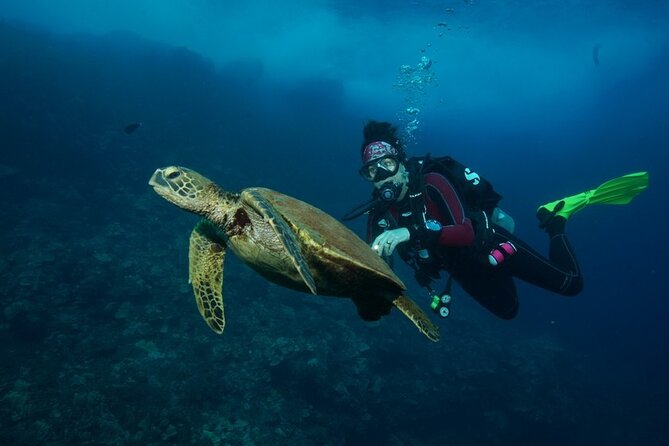 2-Tank Maui Turtle Scuba Dive or Snorkel Boat Tour - Boat comfort, snacks, and the afternoon schedule