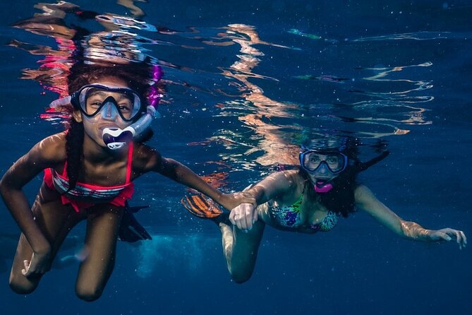 2-Tank Maui Turtle Scuba Dive or Snorkel Boat Tour - Two sessions, a surface break, and plenty of time underwater