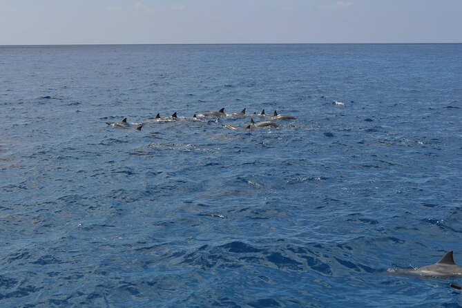 3-Hour Small-Group Maalaea Luxury Snorkel Cruise Tour - Choosing among Sugar Beach, Haycraft Park, and Coral Gardens