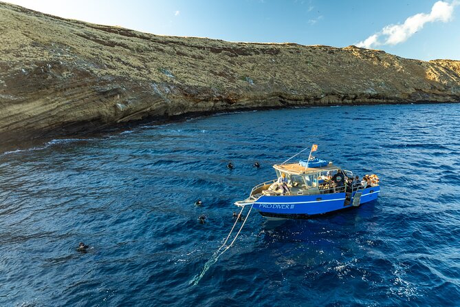 3-Tank Dive Featuring the Molokini Crater - Why Molokini Crater makes this morning special