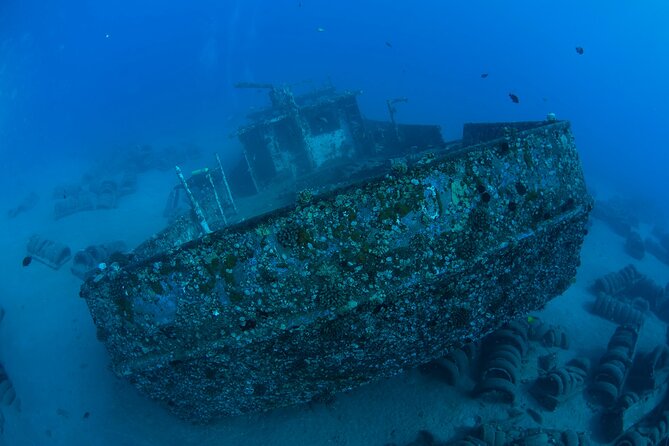 3-Tank Dive Featuring the Molokini Crater - Small groups improve the personal attention