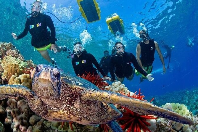 4-Hour Koa Kai Molokini Adventure Snorkel - What the four-hour morning actually includes