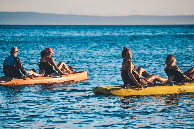 4 hour Private Custom Kayak Tour Lahaina - Why the private format can be worth the cost