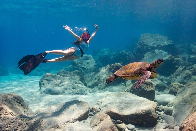 4 hour Private Custom Kayak Tour Lahaina - Choosing between wildlife, snorkeling, and fishing
