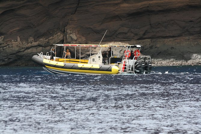 5 Hour Molokini Snorkel & Turtle Tour in Maui - Key points at a glance