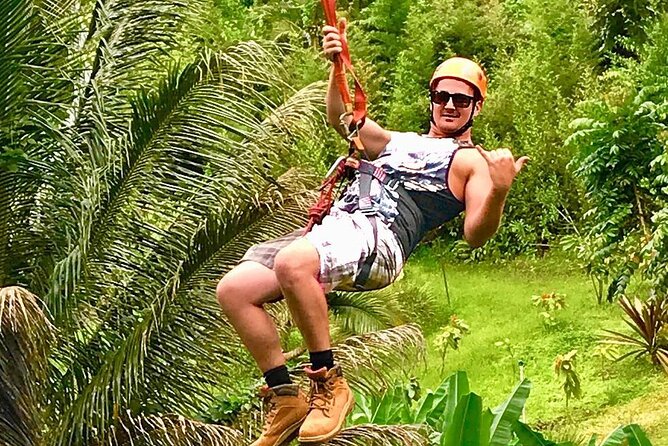 5 Line Jungle Zipline Eco Adventure - Is $142 a fair price?