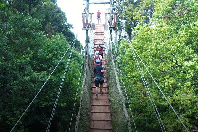 6 Dual-Zipline Mountain Adventure in Maui - Guides make the biggest difference for first-timers