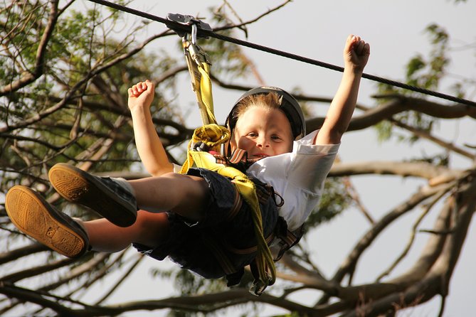 7-Line Maui Zipline on the North Shore - Cancellation and practical booking advice