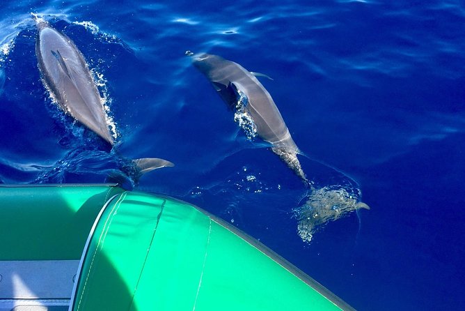 Afternoon Adventure Snorkel from Ka'anapali - Snacks, drinks, and shaded seating