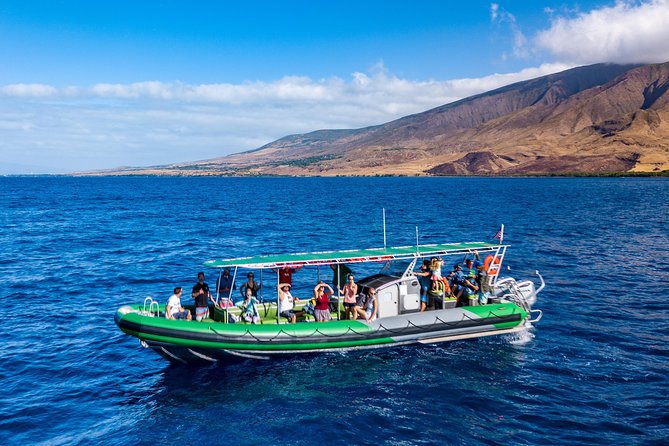 Afternoon Adventure Snorkel from Ka'anapali - Who should book this Kaanapali outing?
