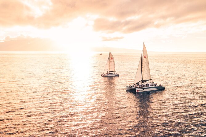 'Alihilani Sunset Sail from Ma'alaea Harbor - Humpback whales from December through May