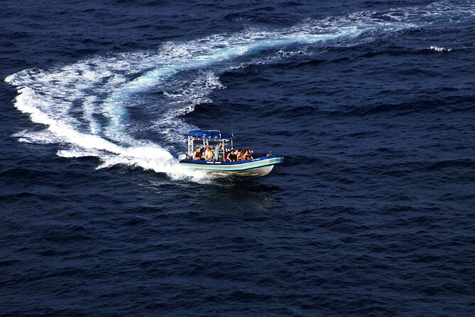 All-Inclusive 5.5 hr La Perouse Bay & Molokini Sea Cave Boat Tour - Snorkeling at Molokini and beyond