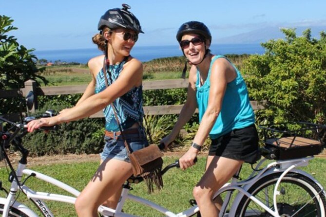 Aloha West Maui 2-Hour Self-Guided Electric Bike Tour - Lahaina stops, including Banyan Tree Park