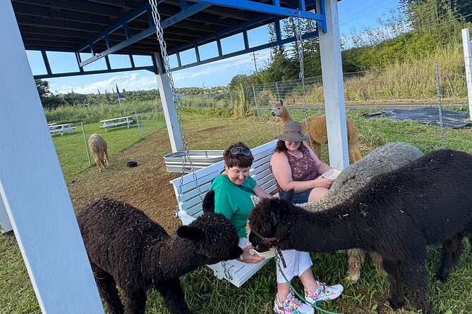 Alpaca Farm Experience on the Road to Hana - The main concern: confirm the farm is operating
