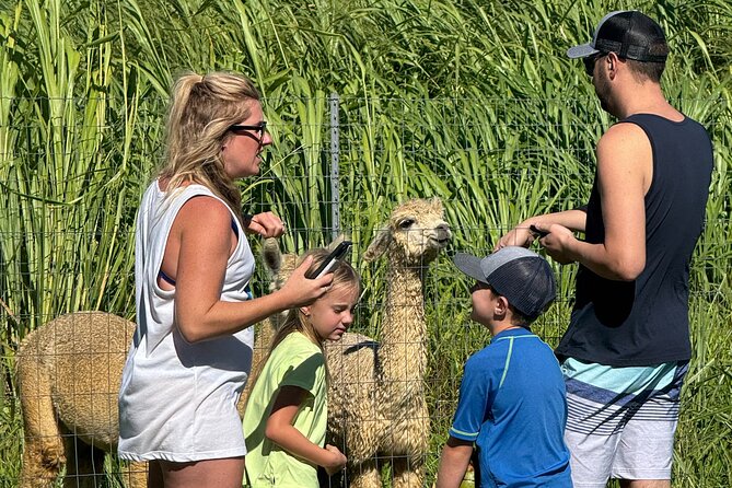 Alpaca Farm Experience on the Road to Hana - Who will enjoy this most