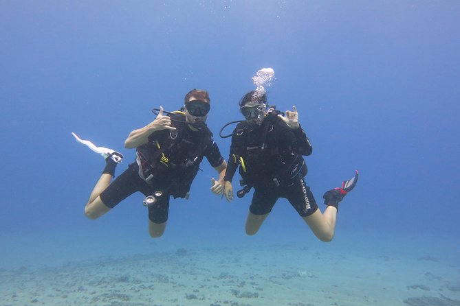 Beginner Scuba Dive in Lahaina: Swimming Required - Who will enjoy this most