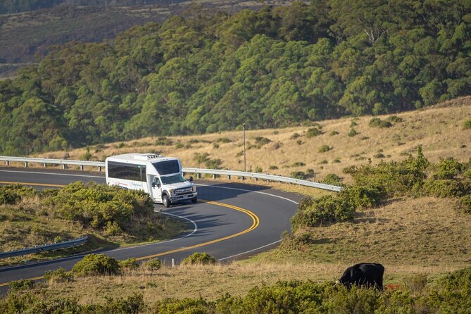 Best of Maui Tour: Sips, Sites and Bites with Lunch - Health, weather, and practical preparation
