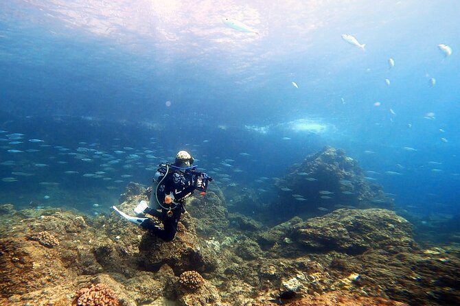 Certified Divers! Scuba dive the Ka'anapali Coast and more! - Who should book this West Maui shore session