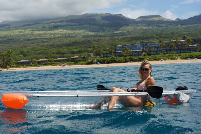Clear Bottom Glassy Kayak Rental | MAUI | Safe and Stable Kayaks - Marine life, from turtles to whales