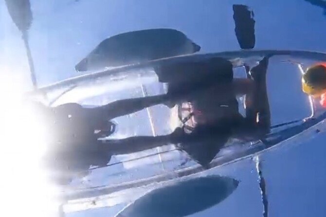 Clear Bottom Glassy Kayak Rental | MAUI | Safe and Stable Kayaks - Value of a rental instead of a guided tour