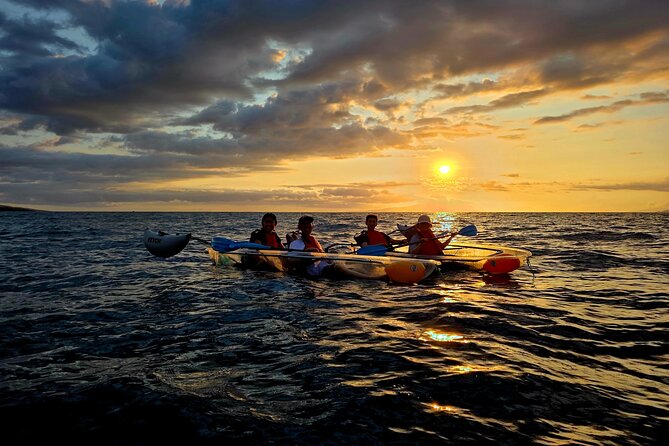Clear Kayak Sunset and Glow Tour in Maui - LED lights reveal a different reef
