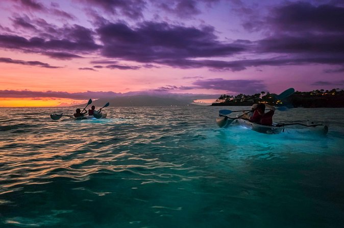 Clear Kayak Sunset and Glow Tour in Maui - Is $125 a fair price?