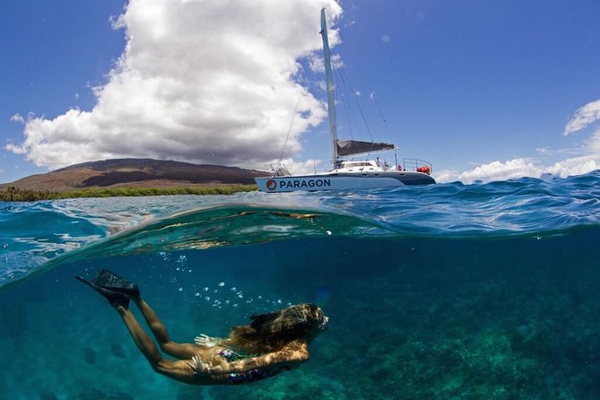 Coral Gardens Coastal Snorkel & Sail - At a glance