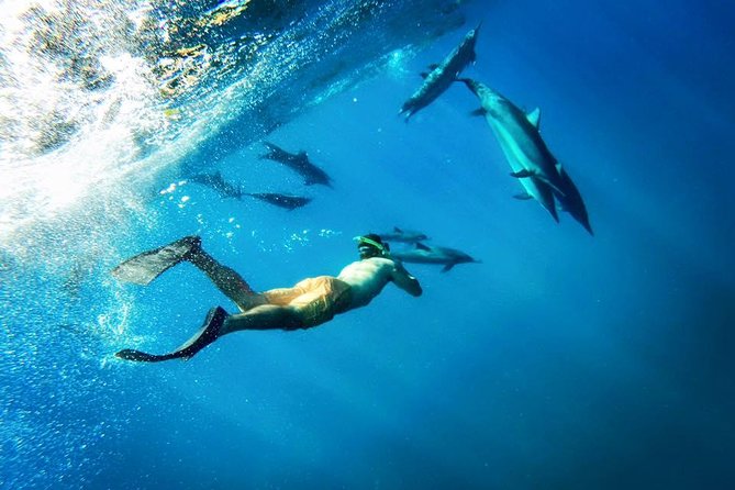 Coral Gardens Coastal Snorkel & Sail - Coral Gardens and the changing route