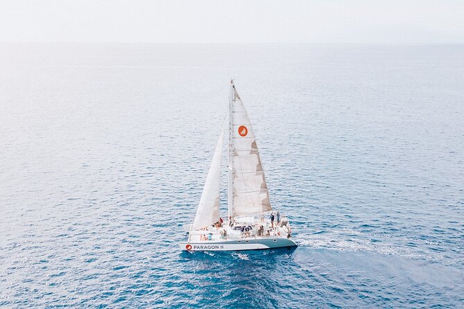 Coral Gardens Coastal Snorkel & Sail - Whale watching from the captain’s route
