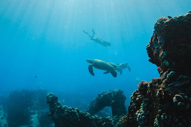 Coral Gardens Coastal Snorkel & Sail - The crew makes the difference