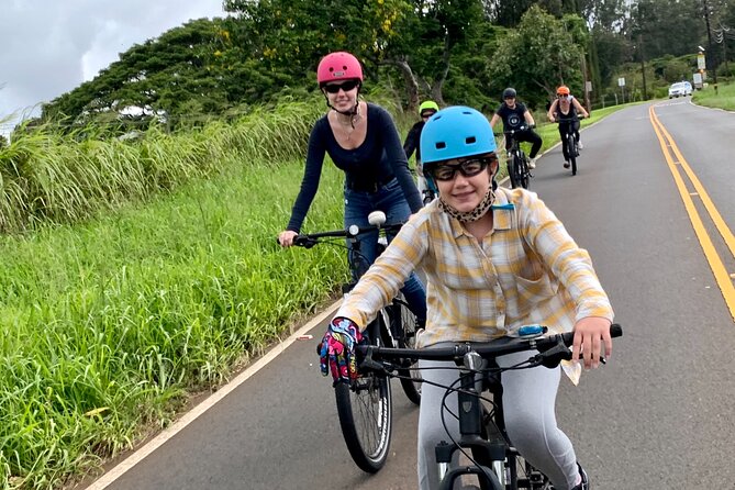Cycle to the Sea with Maui Bombers - Views from mountain to sea