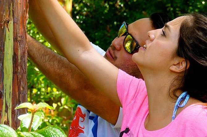 Deluxe Halfway to Hana: Private Tour from Kahului - A native village and the human side of the road