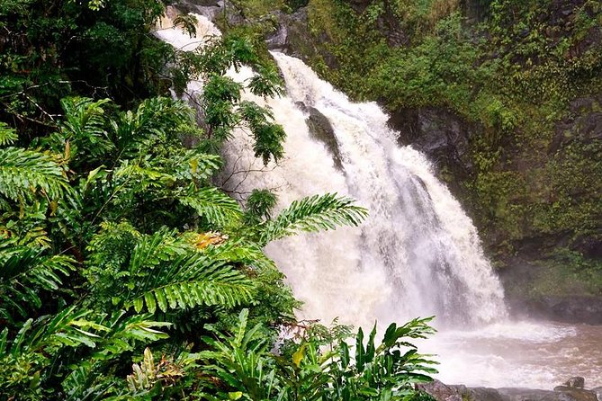 Deluxe Halfway to Hana: Private Tour from Kahului - Banana bread and local food are part of the route